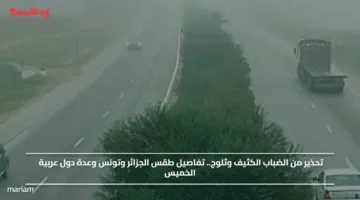 تحذير من الضباب الكثيف وثلوج.. تفاصيل طقس الجزائر وتونس وعدة دول عربية الخميس